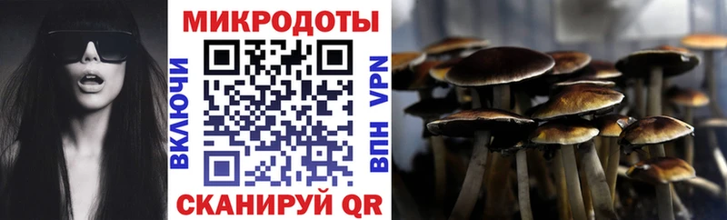 Псилоцибиновые грибы ЛСД где найти наркотики Углегорск