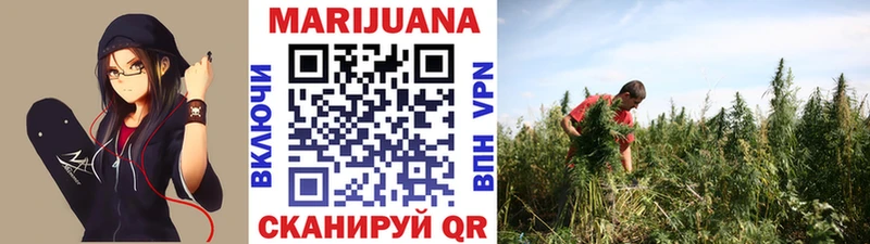 Бошки Шишки семена закладки Углегорск
